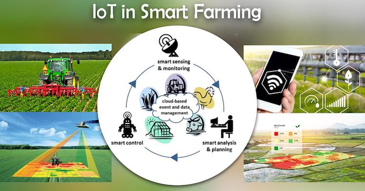 How Internet of Things (IoT) Benefits the Agriculture Industry?