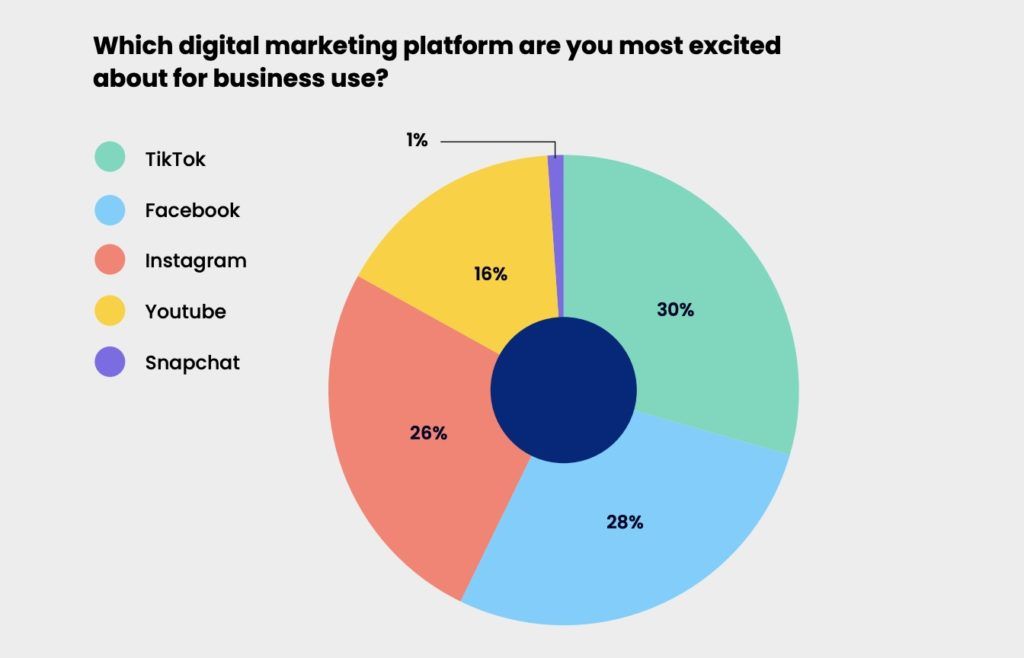
43% of SMBs are using TikTok to reach new audiences
